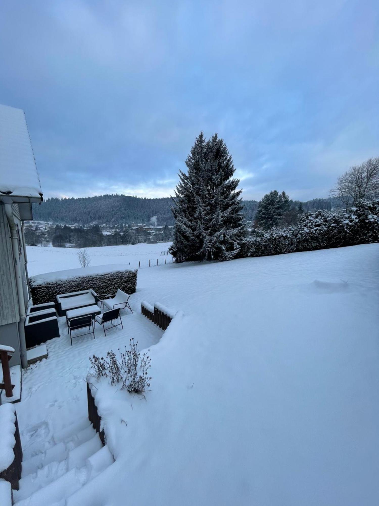 Chalet Le Cedre Bleu 10 P - 10 Min De Gerardmer Le Tholy Extérieur photo